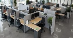 Enterprise-Grade Office at Blue Ridge SEZ