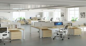 Premium Pre-Leased Office with Multinational Tenant in Baner