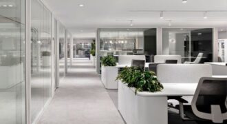 Rent a large open-plan office in Wagholi